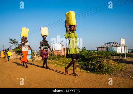 Le donne che trasportano contenitori di acqua sulla loro testa portando acqua home dal lago Albert, Uganda, Africa Foto Stock
