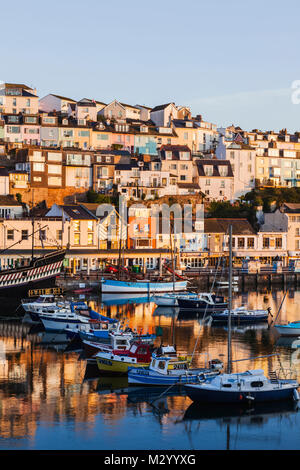 Inghilterra, Devon, Brixham, porto di Brixham Foto Stock