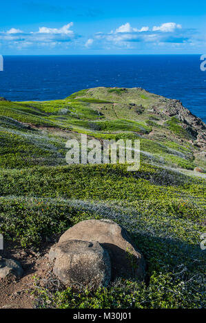La costa frastagliata di western Maui, Hawaii Foto Stock