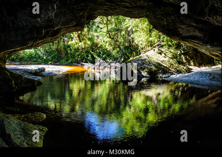 Cancello di Moria arch nel bacino Oparara, Karamea, Isola del Sud, Nuova Zelanda Foto Stock