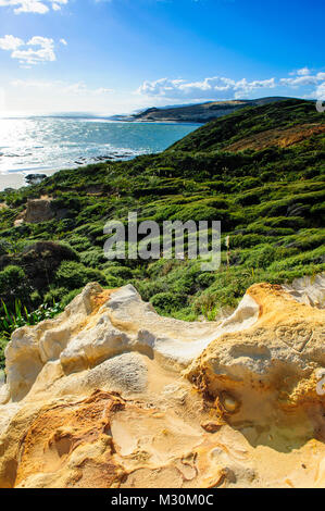 Bellissimo litorale nel Arai-Te-Uru Riserva di ricreazione, Hokianga Harbour, la Westcoast Northland e North Island, Nuova Zelanda Foto Stock