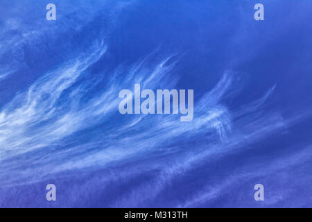 Lungo, wispy white viticci di Cirrus uncinus nuvole verso l'alto flusso in un cielo blu. Foto Stock