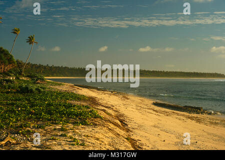 Lifuka Island. Ha'isole apai. Tonga. La Polinesia Foto Stock