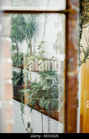 Una candida colpo di un cafe in Carlton, Melbourne Foto Stock