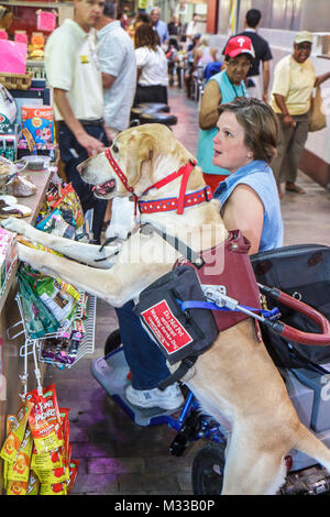 Philadelphia, Pennsylvania, Reading Terminal Market, Center City, mercato agricolo storico, cibo locale, folla pranzo, food Court plaza, donna donna donne, ruota Foto Stock