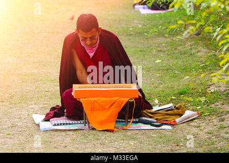 Monaco buddista di lettura libro santo, Sarnath, Varanasi, Uttar Pradesh, India Foto Stock