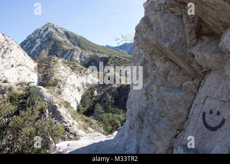 Immagine catturata durante l escursione in Angeles National Forest. Foto Stock