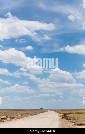 Strada di ghiaia attraverso il Parco Nazionale di Etosha, Namibia Foto Stock