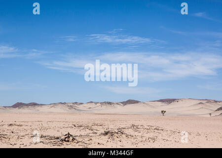 Il paesaggio del deserto, Damaraland, Namibia Foto Stock