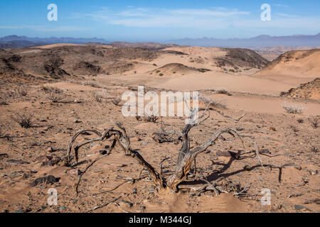 Il paesaggio del deserto, Damaraland, Namibia Foto Stock