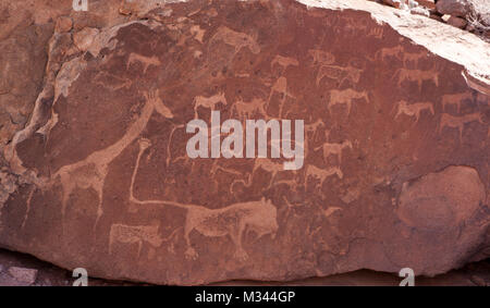 Incisioni rupestri, Twyfelfontein, Regione di Kunene, Namibia Foto Stock