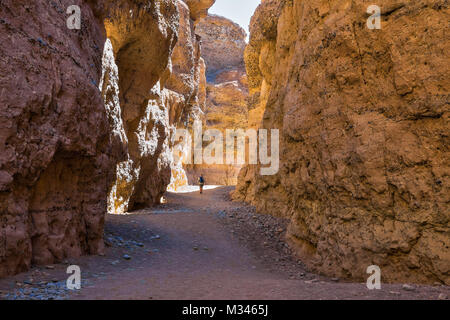 Uomo che cammina in Sesriem Canyon, Sossusvlei, Namib Naukluft National Park, Namibia Foto Stock