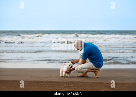 Proprietario guardando al suo cane in spiaggia Foto Stock