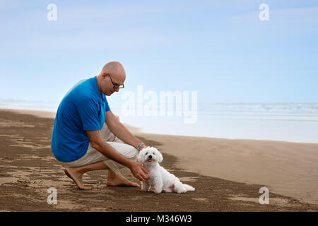 Proprietario guardando al suo cane in spiaggia Foto Stock