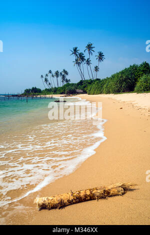 Driftwood sulla spiaggia, Koggala Beach, Galle, Sri Lanka Foto Stock