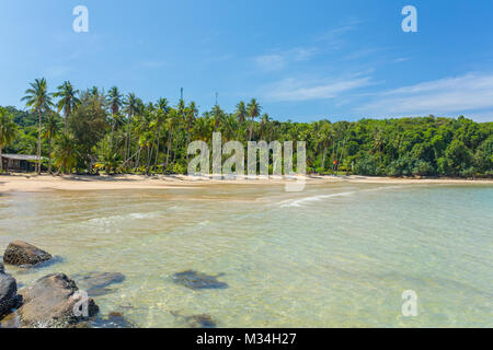Le palme sulla bellissima spiaggia tropicale di Koh Kood island in Thailandia Foto Stock