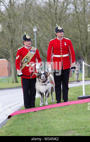 Il Principe Carlo (Re Carlo III) visita Bulford Foto Stock