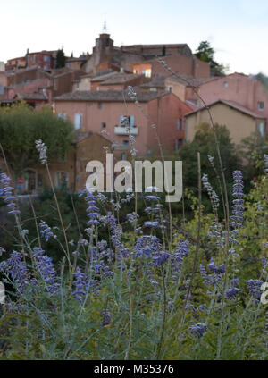 Close up di fiori di lavanda in primo piano e il coral o salmone stucchi colorati edifici di Roussillon Francia in background. Foto Stock