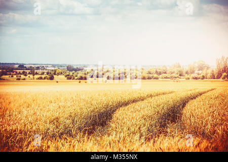 Autunno o in tarda estate del paesaggio di campagna con agricoltura campo di fattoria e tracce di macchine agricole. Mature campo di cereali con bellissimo cielo backgro Foto Stock