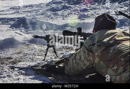 Yavoriv, Ucraina - statunitensi, canadesi, ucraino lituano e i membri del servizio condotta precisione di tiro di formazione presso il Yavoriv Combat Training Center qui Feb. 6. Attualmente più di 220 New York Army National Guard soldati sono dispiegati in Ucraina a lavorare mano nella mano con l'esercito ucraino nei loro sforzi verso il loro obiettivo di raggiungere l'interoperabilità della NATO. (U.S. Esercito foto di Sgt. Alexander rettore) Foto Stock