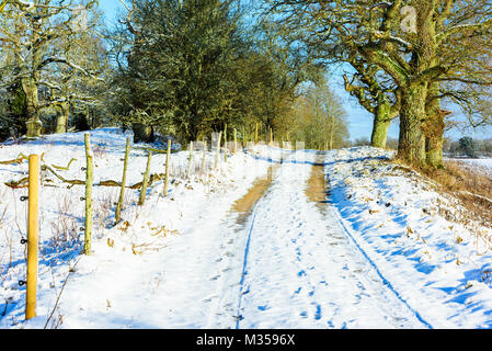 Inverno country road affiancato da recinzione e boschi a sinistra più alberi di quercia e campi coltivati a sinistra. Nella riserva naturale del Johannishus, Svezia meridionale. Foto Stock