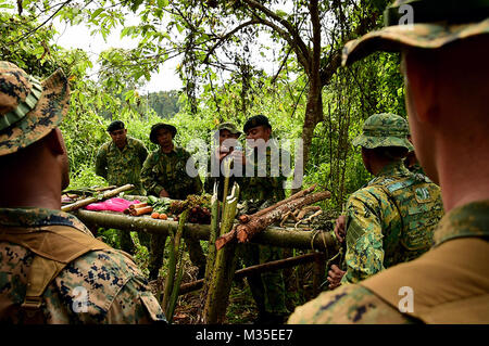 151105-N-QV906-011 Bandar Seri Begawan, Brunei (2 novembre 2015) i membri della Royal Brunei Forze Armate insegnare ai membri dell'U.S. Marine Corps" terza applicazione della legge battaglione, Charlie Co., competenze vitali per la sopravvivenza le dure giungle di Endo-Asia durante la cooperazione a galla la prontezza e la formazione (Carati) Brunei 2015, nov. 5. Carato è una serie annuale di bilaterali esercizi marittimo tra Stati Uniti Navy, U.S. Marine Corps e le forze armate di nove nazioni partner di includere il Bangladesh, Brunei, Cambogia, Indonesia, Malaysia, Filippine, Singapore, Thailandia e Timor-Liste. (U.S. Navy Foto Stock