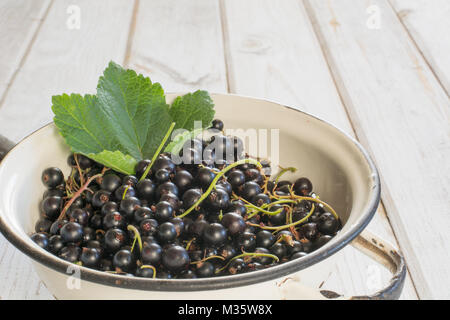 Colapasta pieno di raccolti di fresco Ribes nero su sfondo di legno. Vista laterale. L'estate. Close up. Foto Stock