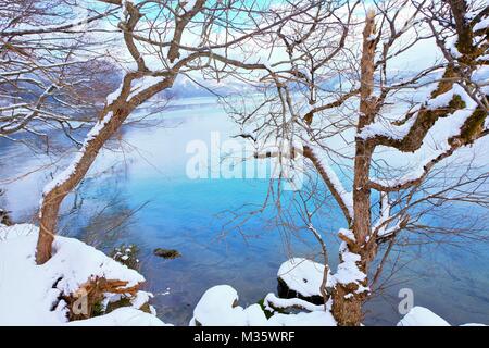 Macro di Ghiaccio/neve Foto Stock