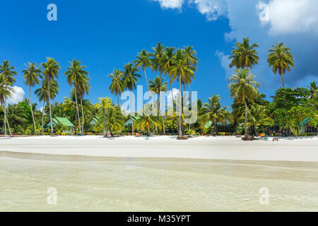 Palme sulla tropicale perfetto di spiaggia di sabbia bianca su Koh Kood island in Thailandia Foto Stock