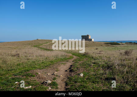 XVI Secolo antica torre difensiva Torre Guaceto lungo la costa della Puglia. Italia Foto Stock