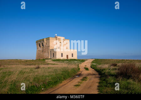 XVI Secolo antica torre difensiva Torre Guaceto lungo la costa della Puglia. Italia Foto Stock