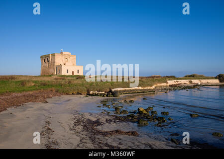 XVI Secolo antica torre difensiva Torre Guaceto lungo la costa della Puglia. Italia Foto Stock