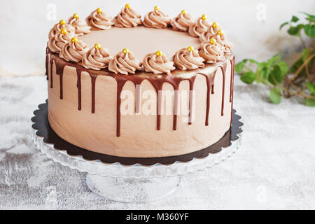 Torta al cioccolato con salsa al cioccolato spruzzata glassa e riccioli di cioccolato su sfondo bianco Foto Stock