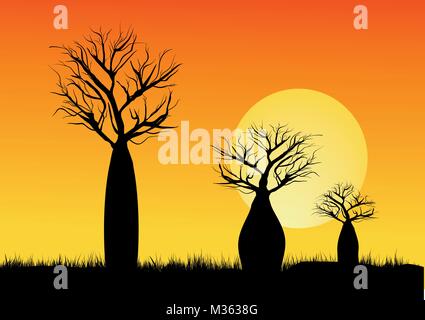 Silhouette di tre alberi Boab con la luna in background Illustrazione Vettoriale