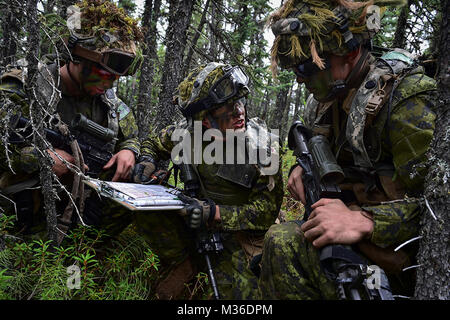 Esercito canadese Il Mag. Chelsea Anne Braybrook, centro, comandante del bravo Company, 1° Battaglione, Principessa di Patricia luce canadese di fanteria, passa le informazioni a CPL. Brandon Balan, sinistra e Cpl. James Thoman in Donnelly Area Formazione vicino a Ft. Greely, Alaska, durante l'Artico incudine esercizio, Domenica, 24 luglio 2016. Arctic incudine è un giunto, multinazionale di esercizio che comprende le forze dalla USARAK del primo Stryker Brigade Combat Team, XXV divisione di fanteria e UATF, insieme con le forze dal 196th della brigata di fanteria congiunto del Pacific multinazionale funzionalità di disponibilità, l'Iowa Guardia Nazionale di 133r Foto Stock