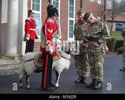 Il Principe di Galles (destro) a Bulford Camp in Salisbury durante una visita al Primo Battaglione del Reggimento Mercian per contrassegnare di dieci anni come il colonnello-in-chief e 40 anni diventando il colonnello in capo del reggimento Cheshire. Foto Stock