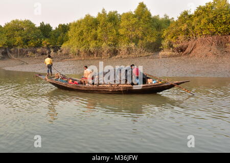 Paesaggio di estuario e Mangroove foresta, Sundarbans delta, West Bengal, India Foto Stock