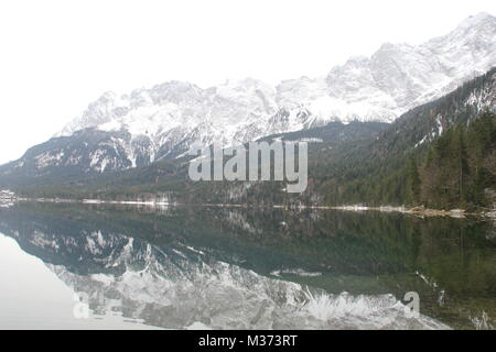 Shelties al delle alpi Foto Stock