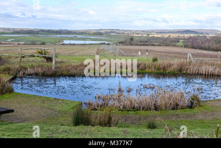 Pulborough Brooks RSPB riserva naturale nel West Sussex Regno Unito Foto Stock