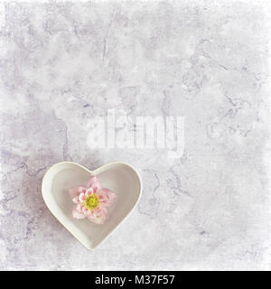 Una singola molla Veratro fiore galleggianti in un cuore a forma di ciotola bianco Foto Stock