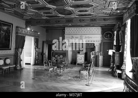 La grande sala in Château de Sully nella Valle della Loira, Francia Foto Stock