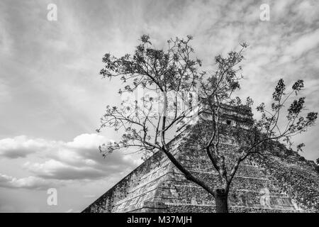 Tempio maya di Kukulcan o il Castello, il centro dell'Chichen Itza sito archeologico e albero in primo piano, Yucatan, Messico Foto Stock