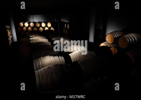 Sandeman cantina al Quinta do Seixo museum, lungo il fiume Douro regione vallery, Portogallo, Europa Foto Stock