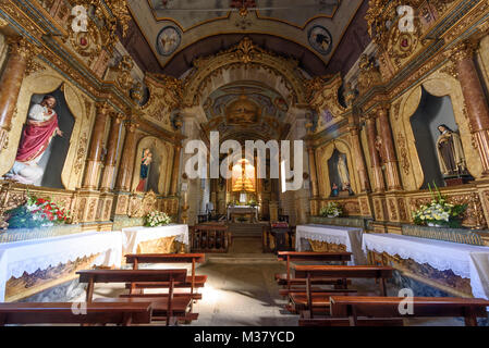 Interno della Igreja Matriz de Alijó / Igreja de Santa Maria Maior chiesa in Alijó, Portogallo, Europa Foto Stock