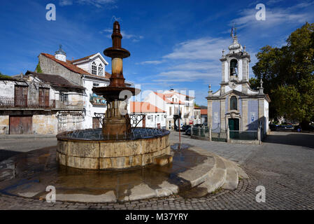 Fontana nella parte anteriore della Igreja Matriz de Alijó / Igreja de Santa Maria Maior - chiesa in Alijó, Douro, Portogallo, Europa Foto Stock