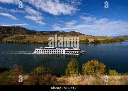 Battello da crociera sul fiume Douro, Portogallo, Europa Foto Stock