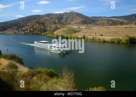 Battello da crociera sul fiume Douro, Portogallo, Europa Foto Stock