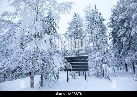 Fiaba foresta coperta di neve. La Lapponia finlandese. Foto Stock