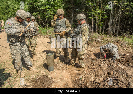 La lotta contro gli ingegneri dal 3° plotone, 251st Engineer Company (Sapper) scavare delle buche e preparare un 35-pound cratere carica per la detonazione a forze canadesi Gagetown Base, New Brunswick, Canada, Agosto 16th, 2017. 170816-Z-JY390-11 dal Maine esercito nazionale Guard Foto Stock