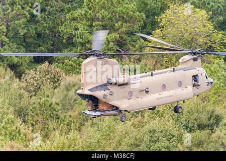 Un Ohio National Guard CH-47 Chinooks offre il fieno per il bestiame a filamento dopo l uragano Harvey inondazioni vicino a Beaumont, Texas, Sett. 5, 2017. (U.S. Esercito nazionale Guard foto di Sgt. 1. Classe Malcolm McClendon). Uragano Harvey recupero caduta di fieno da Ohio National Guard Foto Stock